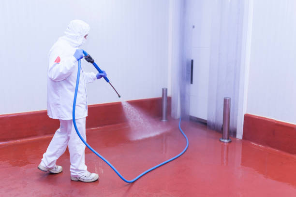 Boat and Dock Cleaning in Lindenwold, NJ